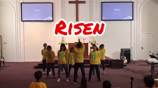 Risen by Israel & New breed | Worship Dance