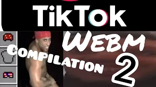 WEBM TIKTOK COMPILATION 2 // ЛУЧШЕЕ ВИДЕО ИЗ ТИКТОКА