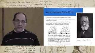 Проблема наследования приобретенных признаков в эволюционной биологии: от Спенсера и Вейсмана до наш