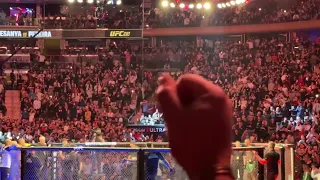 UFC 281 Adesanya x Pereira , Bruce Buffer octagon intro