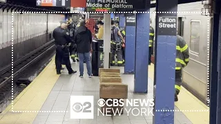 Person of interest in custody after woman was pushed onto subway tracks in NYC