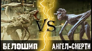 Белошип vs Ангел смерти