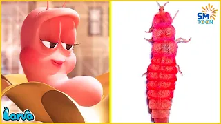 LARVA CARTOON 2022 - HỒNG BIẾN HÌNH - ẤU TRÙNG TINH NGHỊCH - PHIM HOẠT HÌNH HAY NHẤT 2022