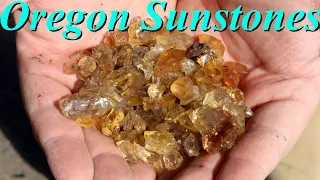 Screening for Gemstones in the Desert! Collecting Oregon Sunstones from the Spectrum Mine