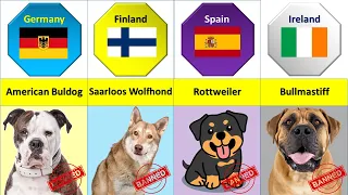 Dogs Banned in Different Countries | Dangerous Dogs | Top Dogs