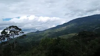 Gunung lumut balai. 2055 mdpl