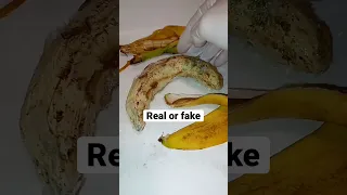 Lab Banana ( Real Or Fake )