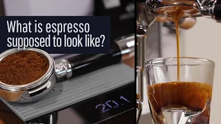 What is espresso supposed to look like?