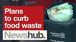 Big plans underway to reduce food waste across Auckland | Newshub