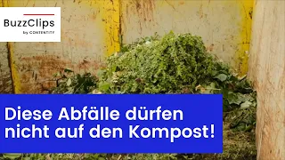 Diese Abfälle dürfen nicht auf den Kompost!