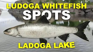 Russian Fishing 4 LUDOGA WHITEFISH SPOTS Ladoga Lake