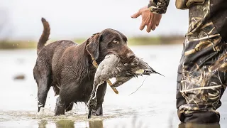 Story Tellers Episode 4 | Run-N-Gun Adventures | Texas Trophy Hunters