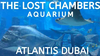 The Lost Chambers Aquarium - Atlantis Dubai Walk Tour [4K]