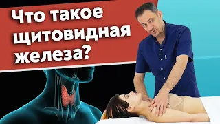 Почему щитовидная железа важна для нашего организма? / Как обнаружить проблему с щитовидной железой?