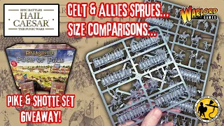 Warlord Games | Epic Battles Hail Caesar | More Sprues & Size Comparison