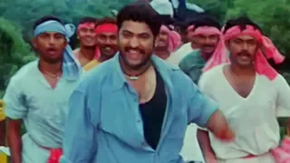 Narasimhudu Songs - Rajamandrike Rangasani - Jr NTR Arti Agarwal