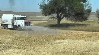 Fire & Snakes / Day 26 Highwood Montana Wheat Harvest (August 14)