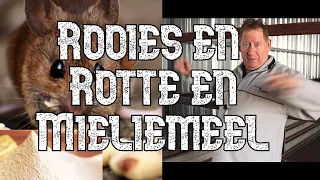 Rooies, Rotte en Mieliemeel | Rooies Strauss