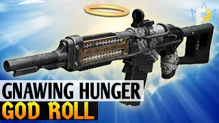 King of Auto Rifles: the Gnawing Hunger GOD ROLL - PvP & PvE! (Destiny 2)