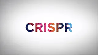 What is CRISPR? Penn Medicine Explains