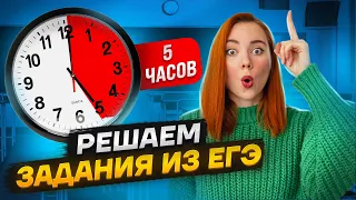 Решаем задания из ЕГЭ 5 часов | Биология ЕГЭ 2023 | Умскул