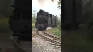 A Train Nearly Killed the Chicken.