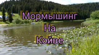 Голавль на мормышку! Турбинки в деле! МОРМЫШИНГ на Койве!