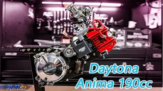 N2O Fi Workshop :  Rebuild Engine Daytona Anima 190cc .....
