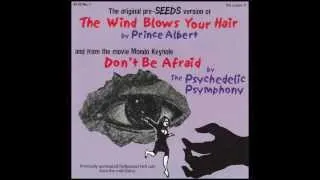 Prince Albert - The Wind Blows Your Hair (1965)