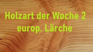 Holzart der Woche #2 – die Lärche, das BESTE heimische NADELHOLZ?