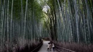 2014年、冬の京都: 嵯峨野から嵐山散策 - あだしの念仏寺、祇王寺、亀山公園、竹林へ