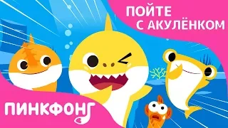 А-К-У-Л-А | Пойте с Акулёнком | Пинкфонг Песни для Детей