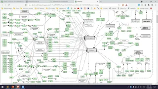 NGS 5: Gene ontology and pathway analysis