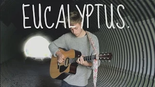 Tyler Nugent - Eucalyptus (Original Song)