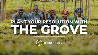 Be a Part of the Solution to Help Our Planet | The Grove | One Tree Planted