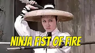 Wu Tang Collection - Ninja Fist Of Fire