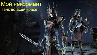 Мой Танк - Некромант танкует все, что танкуется :) И хила не нужно - The Elder Scrolls Online Teso