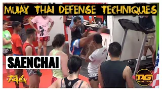 Muay Thai defense techniques: Saenchai at Rami Elite Lean Back Defense