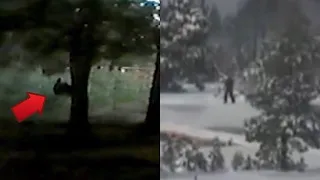 5 Strange & Mysterious Bigfoot Videos