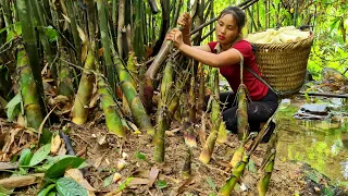 Harvest processed bamboo shoots and bring them to the market to sell | Chuc Thi Duong