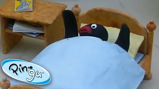 Go to Sleep Pingu | Pingu Official | 1 Hour | Cartoons for Kids