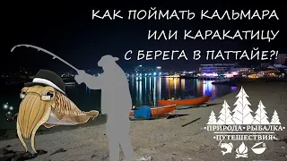 Ночная ловля кальмара с берега. Рыбалка в Паттайе.