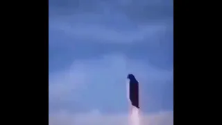 penguin kills guy