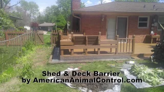 How do I Keep Animals from Going Under my Shed and Deck?