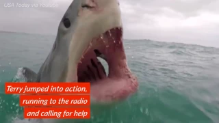 Great White Shark Jumps Into Fisherman's Boat