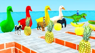 Duck cartoon Choose the  Right Crossing Fountain Cow Gorilla T rex Tiger Wind Animals Funny