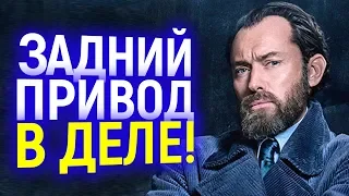 ТАКОЙ ДАМБЛДОР НАМ НЕ НУЖЕН! ЧТО ЕЩЕ ПРИДУМАЛА ДЖ. РОУЛИНГ ДЛЯ НОВЫХ ФАНТАСТИЧЕСКИХ ТВАРЕЙ?