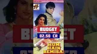 Hum Hai Bemisaal Movie Hit or Flop | Akshay Kumar, Suniel Shetty | #akshaykumar #cinemareview