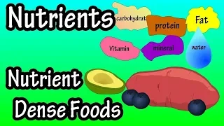 Intro to Nutrition #4: High Nutrient Density vs Low Nutrient Density