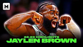 Jaylen Brown Is A Major PROBLEM 🍀😤